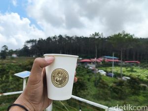 Menyesap Autentisitas Kopi Arabika di Perbukitan Kuningan