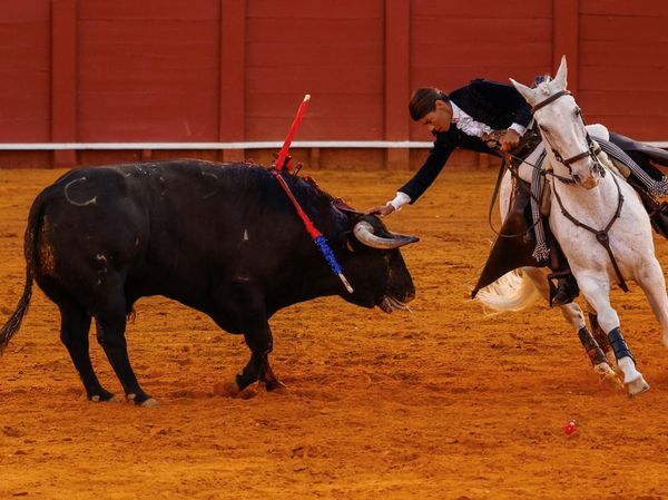 Lea Vicens Tampil Memukau di Arena Adu Banteng Sevilla