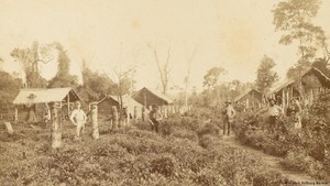 Nueva Germania, Proyek Arya yang Gagal di Paraguay