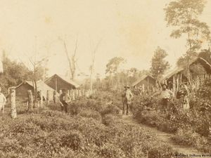 Nueva Germania, Proyek Arya yang Gagal di Paraguay