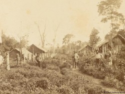 Nueva Germania, Proyek Arya yang Gagal di Paraguay