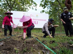 Polres Bojonegoro Sulap Hutan Jadi Kebun Jagung demi Ketahanan Pangan