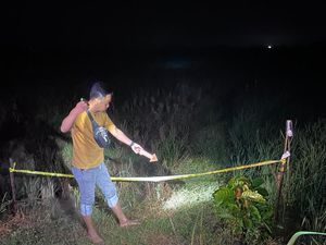 Petani Blora Tewas Kesetrum Jebakan Tikus di Sawah