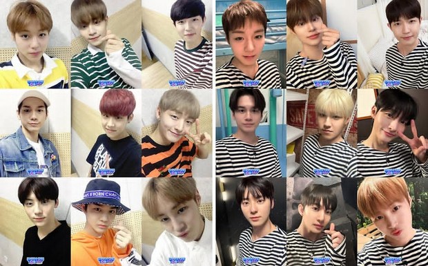 Potret WANNA ONE recreate foto debut.