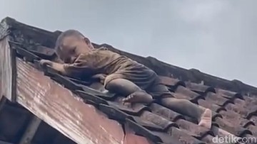 Balita di Lombok Merayap ke Genteng, Momen Evakuasinya Menegangkan