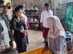 Dulu Ibu-ibu Semangat Olah Sampah Organik, Sekarang Mulai Kendur