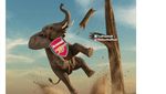 Arsenal Digusur City, Ini Meme Kocak Sang Gajah Jatuh Lagi dan Lagi