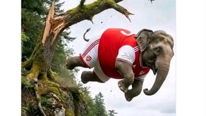 Arsenal Digusur City, Ini Meme Kocak Sang Gajah Jatuh Lagi dan Lagi