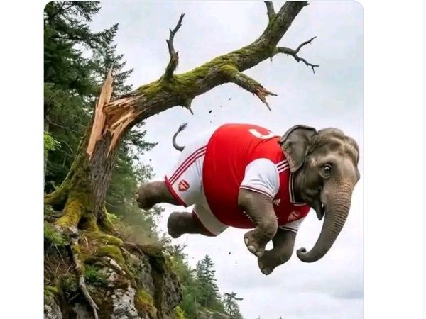 Arsenal Digusur City, Ini Meme Kocak Sang Gajah Jatuh Lagi dan Lagi