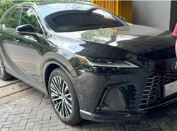 Fakta-Fakta Kasus DC Coba Tarik Mobil Mewah yang Dibeli Tunai