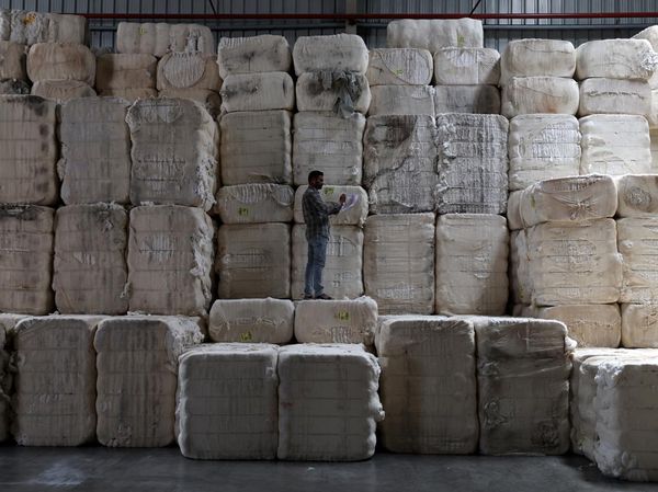 Produksi Benang Katun di Gujarat Menggeliat, Pekerja Sibuk Olah Kapas