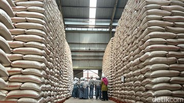 Bantuan Beras 30 Kg Tahap II Sasar 33 Juta Keluarga Mulai Agustus