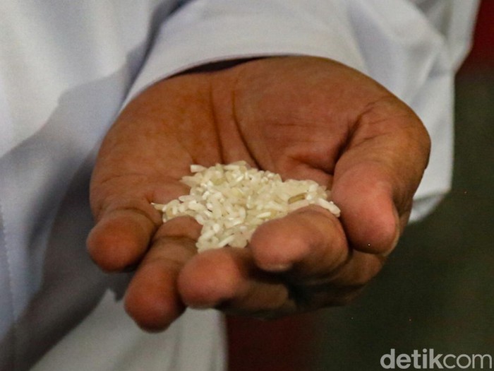 Stok Beras di Gudang Karawang Dicek, Cadangan Tembus 5,19 Juta Ton Mentan dan Dirut Bulog cek stok beras di Karawang. Cadangan nasional capai 5,19 juta ton, pemerintah optimistis tanpa impor pada 2026.
