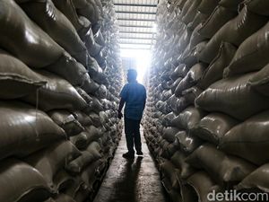 Stok Beras Melimpah, Bulog Tambah Kapasitas Gudang Jadi 7 Juta Ton