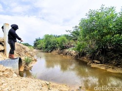 Belasan Hektare Tambak di Bulungan Gagal Panen, Diduga Akibat Limbah Sawit