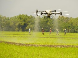 Antusias Petani Saat Uji Coba Drone Semprot Pupuk di Bojonegoro