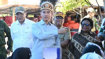 Dampingi Gibran ke Papua, Wamendagri Ribka Ungkap Progres Pembangunan DOB