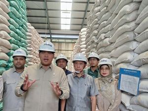 Wamentan Cek Gudang Bulog Sumsel Babel, Stok Beras Berlimpah