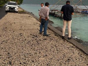 Diduga Timbun 3 Ton Solar, Anggota Polres Manggarai Timur Ditangkap