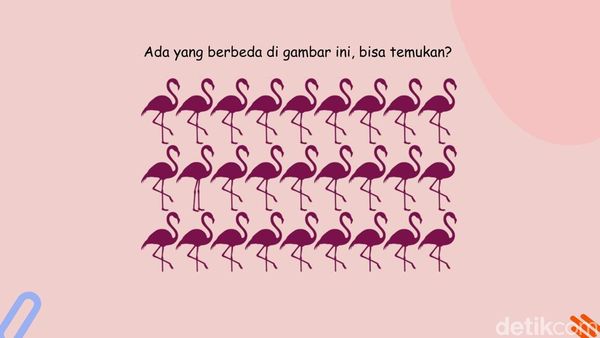 Uji Ketajaman Mata dan Fokus Lewat Teka-teki Gambar, Selesaikan dalam 5 Detik!