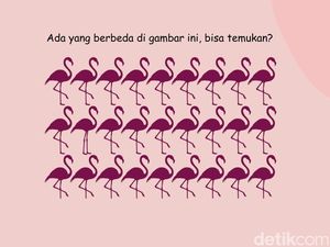 Uji Ketajaman Mata dan Fokus Lewat Teka-teki Gambar, Selesaikan dalam 5 Detik!