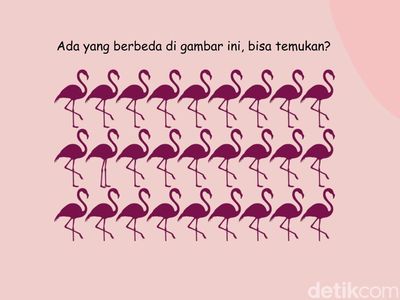 Uji Ketajaman Mata dan Fokus Lewat Teka-teki Gambar, Selesaikan dalam 5 Detik!