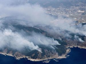 Kebakaran Hutan di Jepang Meluas, Ribuan Warga Dievakuasi