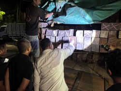 Perdagangan Kayu Ulin Ilegal Dibongkar, Ditampung di Gudang Samarinda