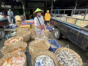 Harga Ikan Tawar di Lamongan Anjlok 50%, Petani-Pengepul Menjerit