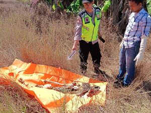 Kerangka Manusia Ditemukan di Ladang Patebon Kendal