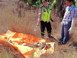 Kerangka Manusia Ditemukan di Ladang Patebon Kendal