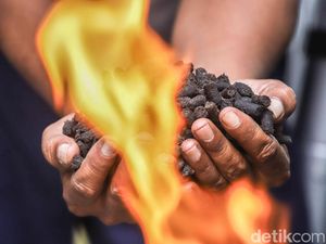 Melihat Sampah Organik Disulap Jadi Arang Ramah Lingkungan