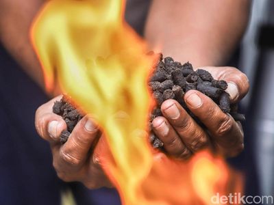 Melihat Sampah Organik Disulap Jadi Arang Ramah Lingkungan