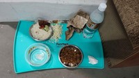 Heboh! Nasi Lemak Disajikan untuk Makanan Kucing, Netizen Emosi