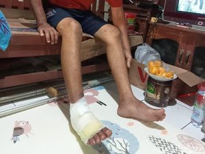 Kondisi Terkini Pencari Rumput di Brebes Korban Gigitan Ular Gibug