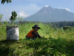Pendakian Gunung Merapi Bakal Segera Dibuka? BTNGM Buka Suara