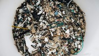 Video: Riset Ungkap Buah dan Sayuran yang Mengandung Mikroplastik Tinggi