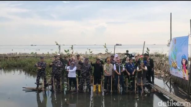 CT Arsa Foundation berbareng Koarmada RI menanam bibit Mangrove dan bersih-bersih di Muara Angke, Pluit, Jakarta Utara, Sabtu (25/4/2026).