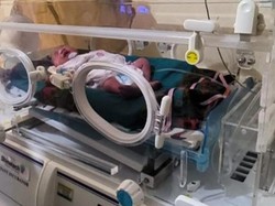 Geger Bayi Ditemukan Kondisi Dikerumuni Semut Dalam Drainase di Polman