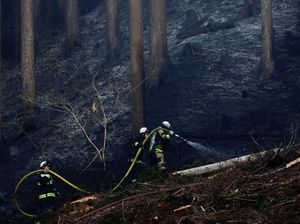 Kebakaran Hutan Melanda Otsuchi, Petugas Berjibaku Padamkan Api
