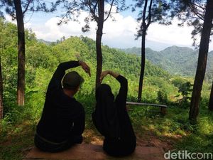 Healing di Pasir Parat Cirebon, Sejuknya Hutan Pinus di Kaki Ciremai
