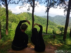 Healing di Pasir Parat Cirebon, Sejuknya Hutan Pinus di Kaki Ciremai