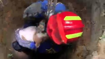 Anjing Warga di Bogor Tercebur Sumur, Srikandi Damkar Turun Evakuasi