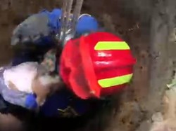 Anjing Warga di Bogor Tercebur Sumur, Srikandi Damkar Turun Evakuasi