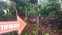 Pria Paruh Baya Tewas Diamuk Massa karena Diduga Curi Kopi di Kebun Warga