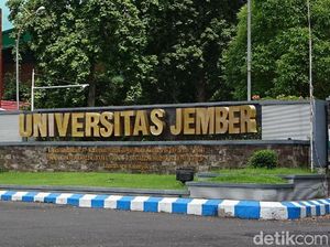 5 Fakta Dugaan Pelecehan Seksual di FH Unej yang Viral di Medsos