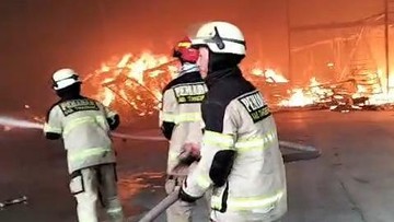 Gudang Makanan Kucing Terbakar di Tangerang, Kerugian Rp 10 M