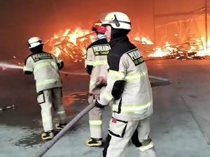 Gudang Makanan Kucing Terbakar di Tangerang, Kerugian Rp 10 M