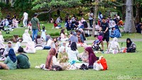 Hutan Kota GBK Jadi Oase Hijau Favorit Warga Jakarta