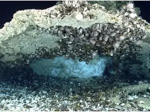 BRIN Ungkap RI Punya Potensi Metana Hidrat Melimpah 800 TSCF, Alternatif Energi Fosil